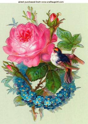 Pink Rose with Little Bird A4 Topper