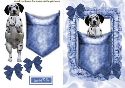 Dalmation Puppy in a Pocket