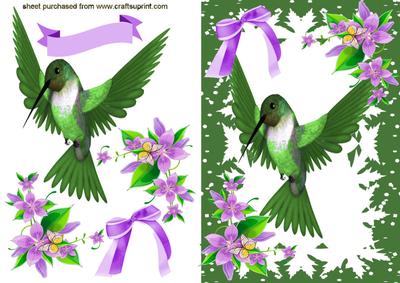 Pretty Green Humming Birdm with Lilac Flowers