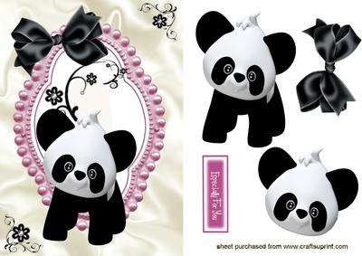 Little Black/white Panda