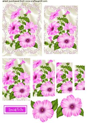 Pink Petunias, Pyramids