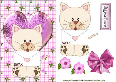 Swak, Cute Little Kittie