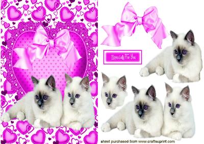 I Love Cats with Pink Bow