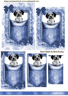 Cute Little Dalmation Puppy in a Pocket, Pyramids