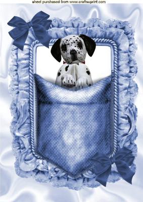 Cute Little Dalmation Puppy in a Pocket, A4 Topper