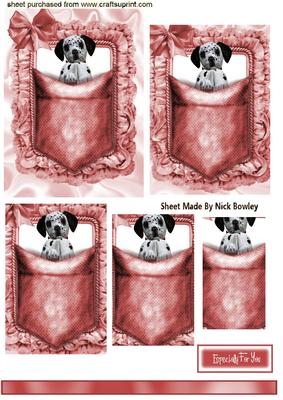 Cute Little Dalmation in Pink Pocket, Pyramids