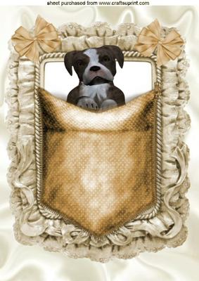 Cute Little Pooch in a Pocket, A4 Topper