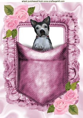 Puppy in a Pocket with Roses, A4 Topper