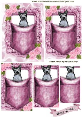 Cute Little Puppy in a Pocketwith Roses, Pyramids