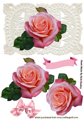 Pink Rose on Ecru Lace