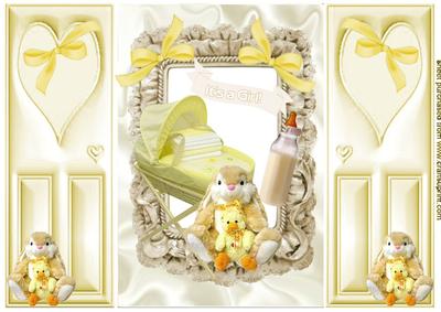 Sweet Baby Girl/boy in Lemon, Gatefold