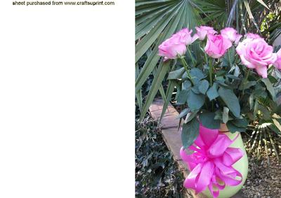 Vase of Pink Roses