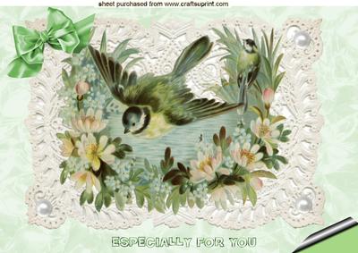 Pretty Bird on Ecru Lace A4 Topper