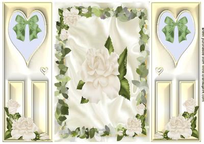 Beautiful Cream Roses and Green Leaves, Gatefold