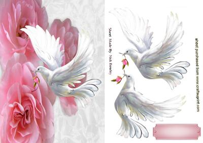 Pink Roses with White Dove
