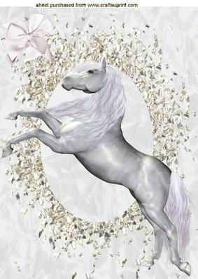 Beautiful White Horse, A4 Topper