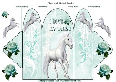 I Love My Horse, Trifold