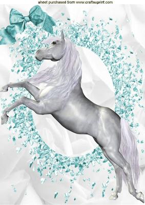 Beautiful White Horse, A4 Topper