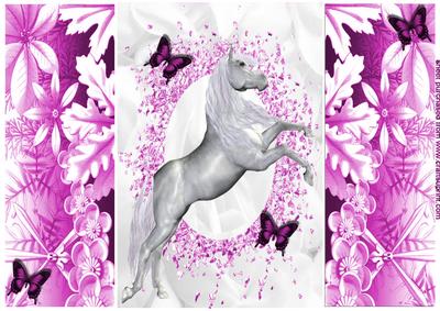 Beautiful White Horse, with Floral Gatefold