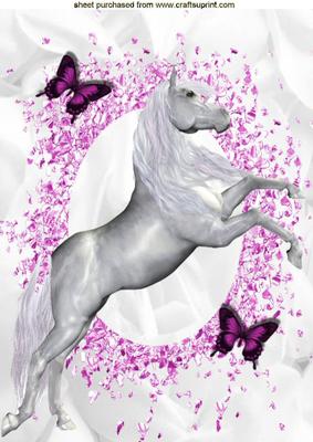Beautiful White Horse, A4 Topper