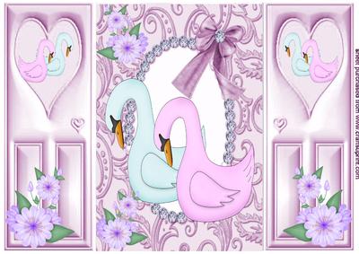 Pink Swans in a Diamond Frame, Gatefold