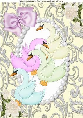 Pretty Swans in a Pearl Frame, A4 Topper