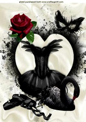 Black Swan and Ballerina Dress, A4 Topper
