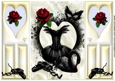 Black Swan and Ballerina Dress, Gatefold