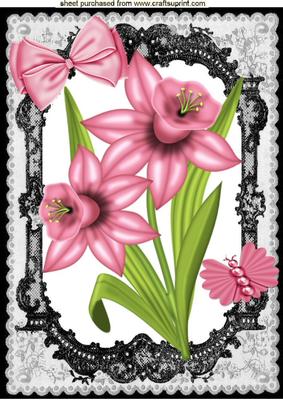 Pink Daffodils, in Black Lace Frame, A4 Topper