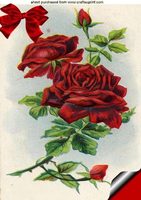 Vintage Red Rose, A4 Topper