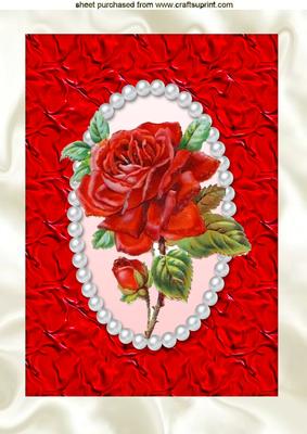 Beautiful Single Red Rose on Satin in Pearl Frame, A4 Topper
