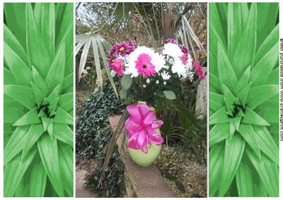 Pretty Flowers in a Vase in the Garden , Gatefold