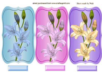 Pretty Lily Toppers