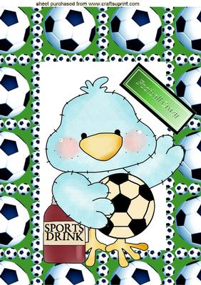 Football Crazy Little Tweety Bird, A4 Topper