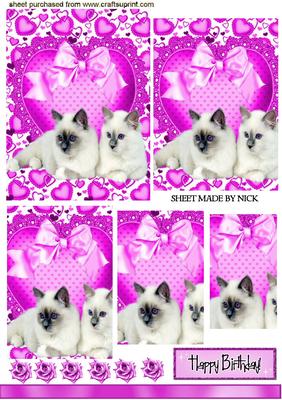 Sweet Kitty Cats on Lace with Bows, Pyramids