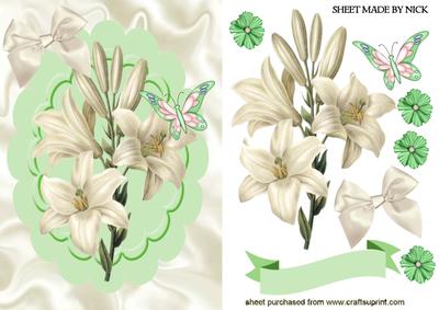 Pretty White Lily in Scalloped Frame
