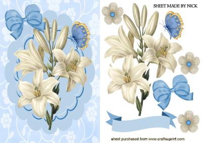 Pretty Cream Lily on Blue Scalloped Frame