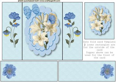 Pretty Little Lily in Blue Scalloped Frame, Gatefold