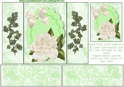 Pretty White Rose with Green Ivy, Gatefold