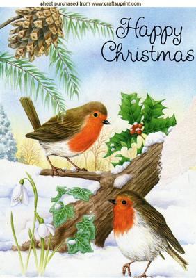 Playful Robins in the Snow, A4