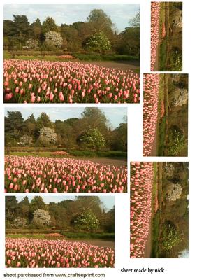 Woodland and Pink Tulips Pyramids