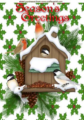 Christmas Robins in a Bird Box, A4