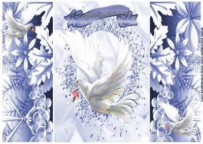 Beautiful White Dove in Flight, Gatefold