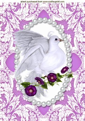 Pretty Dove in Pink Lace Frame A4