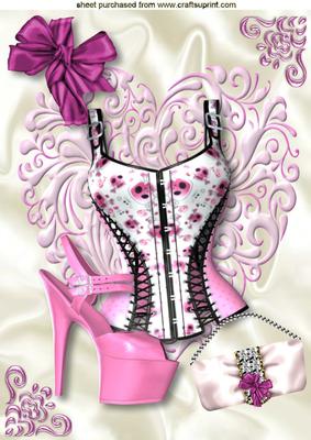 Pretty Candy Pink Basque with Shoe A4