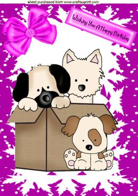 Cute Little Puppies in a Box, A4