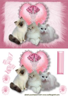 Fluffy Kitties on a Lace Heart