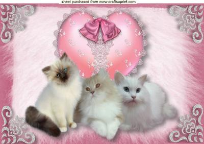 Fluffy Kitties on a Lace Heart, A4