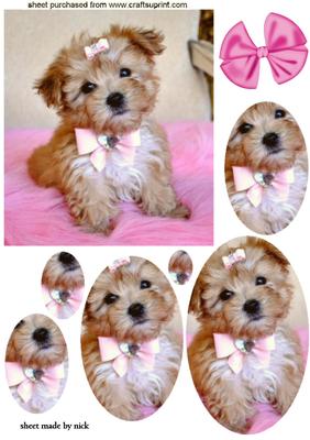 Cute Little Puppy with Bow, Oval Pyramids