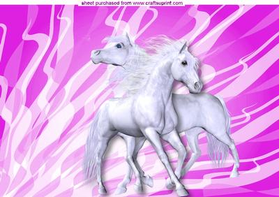 White Horses on Pink Abstract Background A4